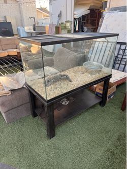 Large 120 Gal Glass Terrarium with Stand 24”x 48”