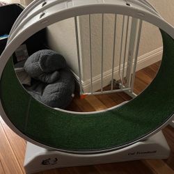 Cat treadmill Wheel 