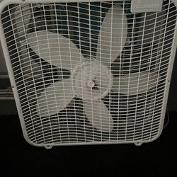Fan