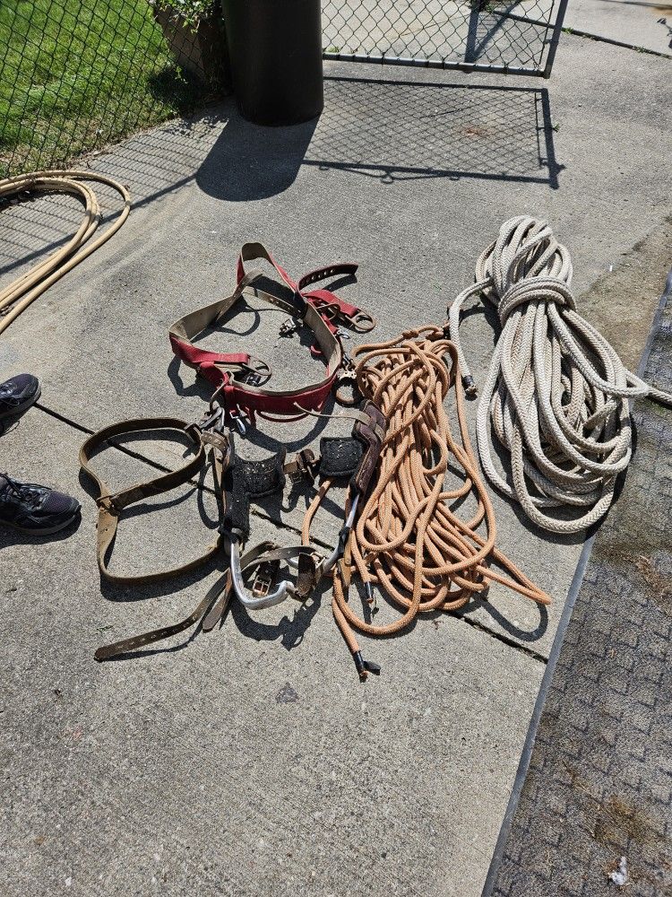 Tree Trimming Equipment