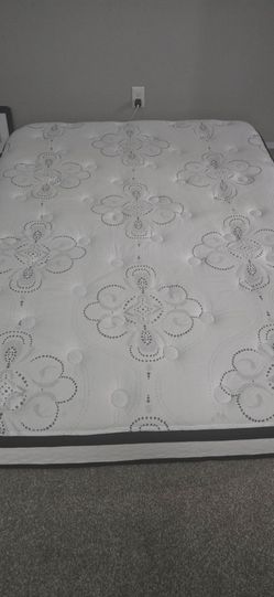 Queen Bed  plush Used Free