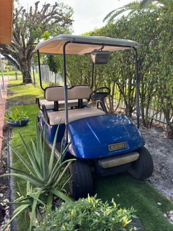Ez Golf Cart- 6 Batteries - 36 Volt