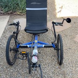 The Rover Terra Trike