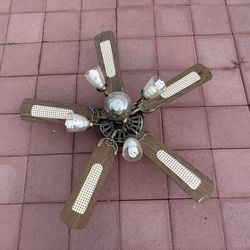 fan
