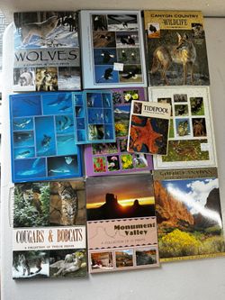 Postcard & Mini Print Collection – Nature & Wildlife Themes – As Is