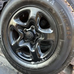 4- ADVANTA RADIAL HTR-800