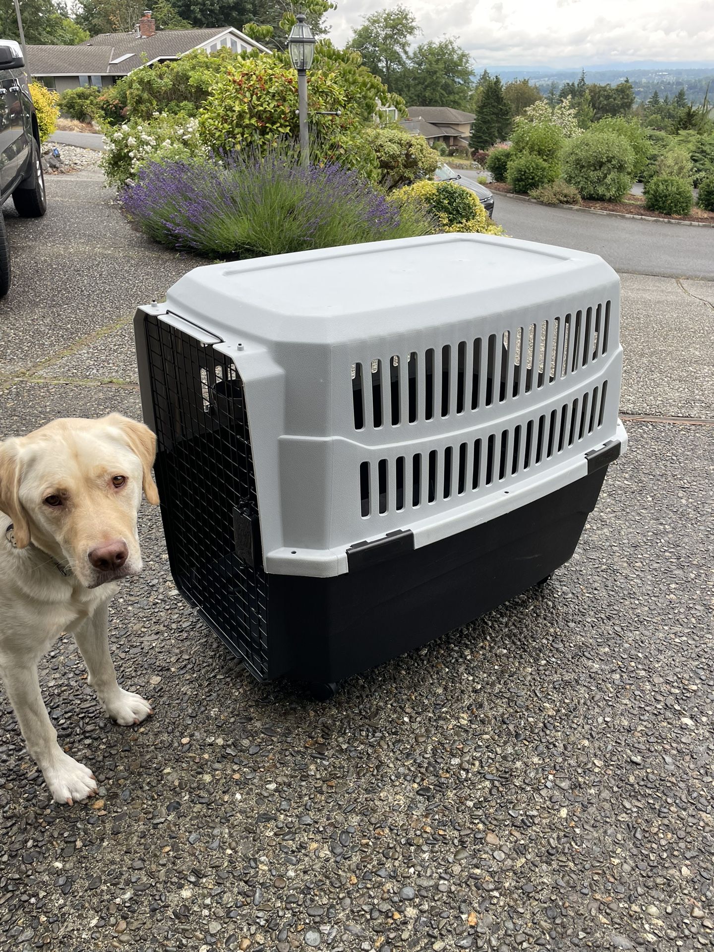 Travel Dog Kennel