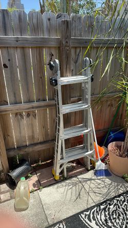 Gorilla ladder