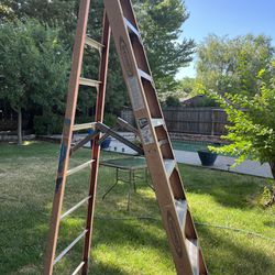 Werner 8 Feet Ladder