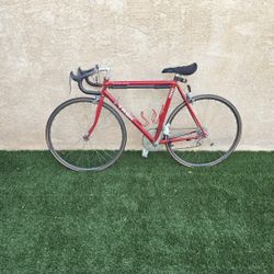 Trek Aluminum 1500 Racing Bike 