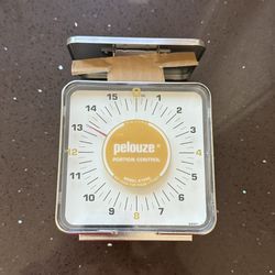 Food Scale