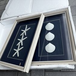 Garber Coastal Glass 2 Piece Framed Wall Art Decor 