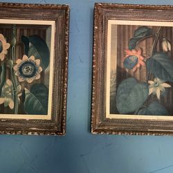 Antique Wall Pictures  Prints For Art Collectors