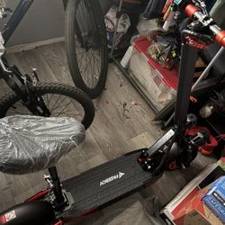 Adult Scooter Brand New