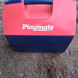 Igloo Elite Cooler 