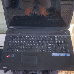 Toshiba, laptop and new condition