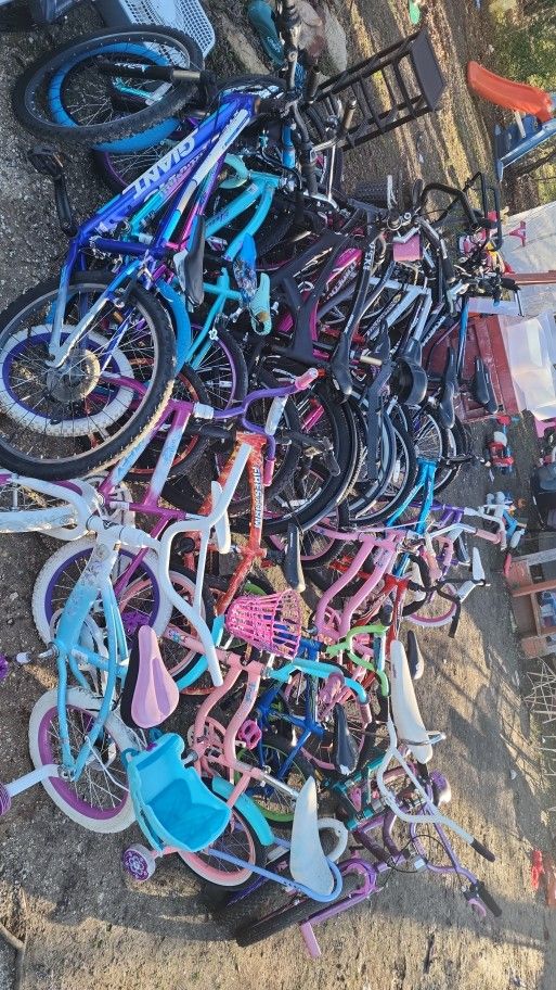 Bikes Lot All For $250