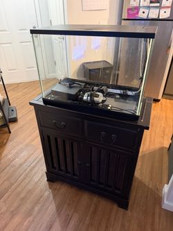 20 Gallon Fish Tank with Decorations and Stand
