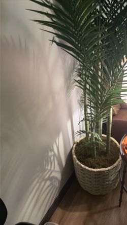 7 foot faux palm