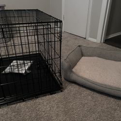 Medium Dog Bed And Crate 