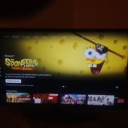 Large Samsung Smart HDMI Disp