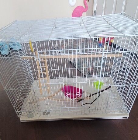 Medium Size Bird Gage 