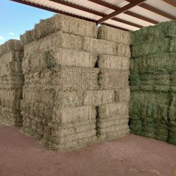 Alfalfa De Venta $10 - $13