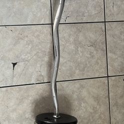 Curl Bar