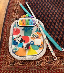 Baby Einsten play gym