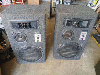 12"speckers