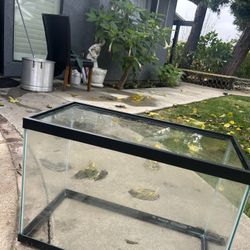 Fish Tank Perfect Condition 