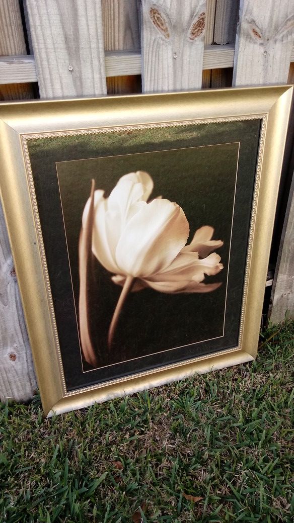 Beautiful Pain gold trim white flower magnificent.