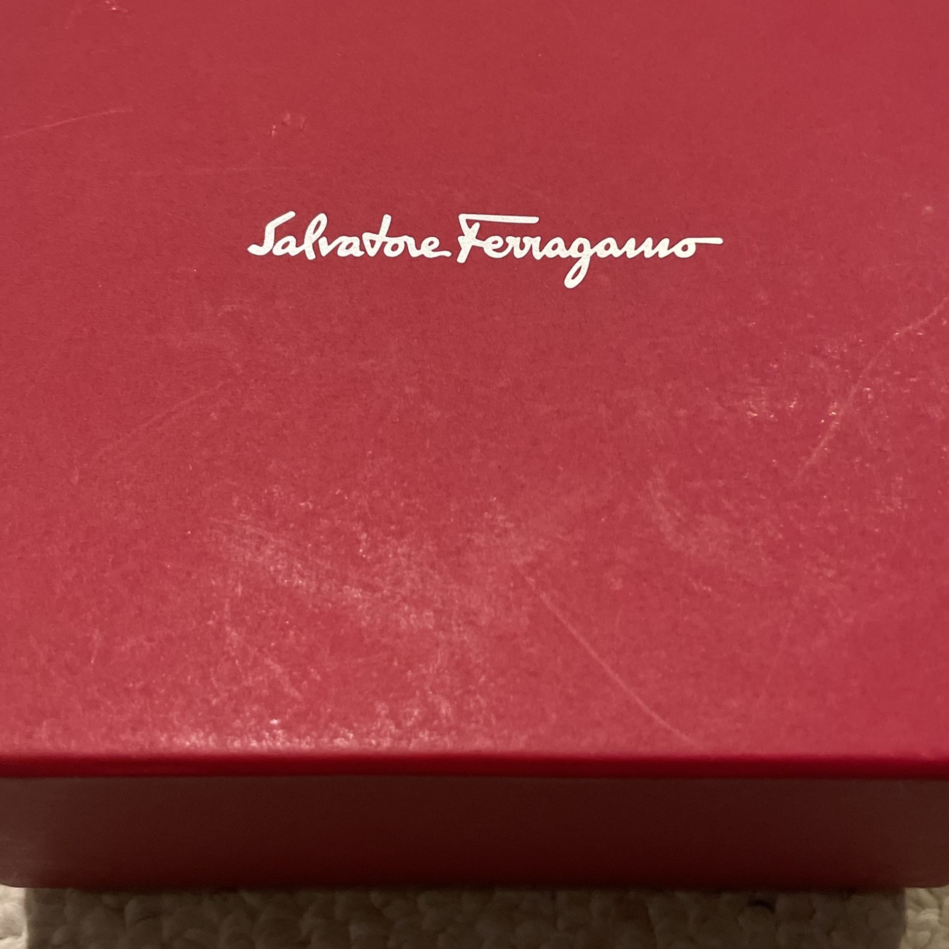 Listing Draft – Salvatore Ferragamo Women’s Idillio Charm Quartz Watch SFYP00522