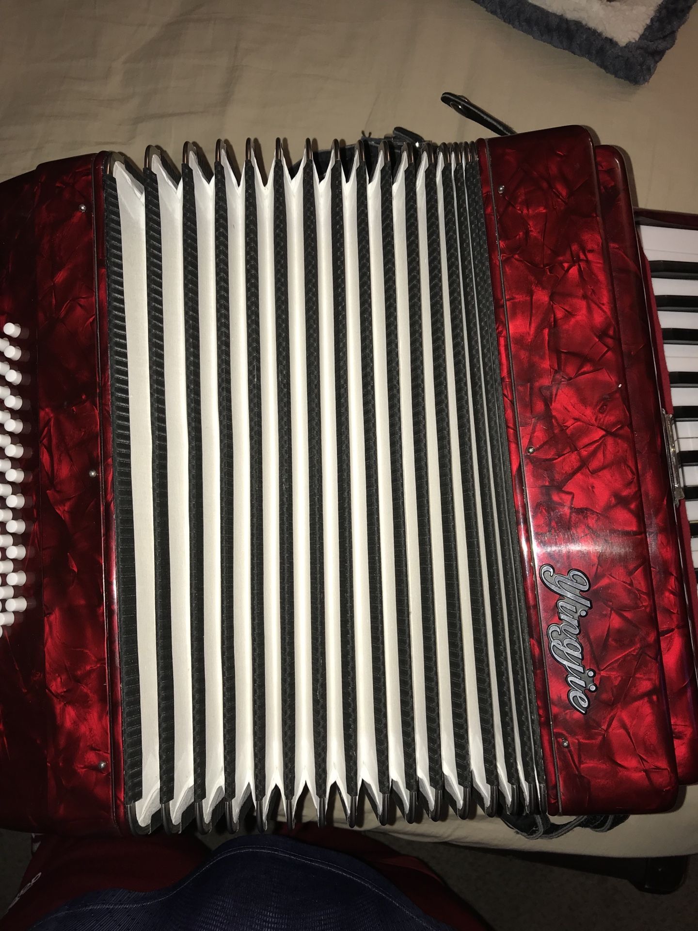 Yingjie Accordion with Hard Case for Sale in Concord, CA OfferUp