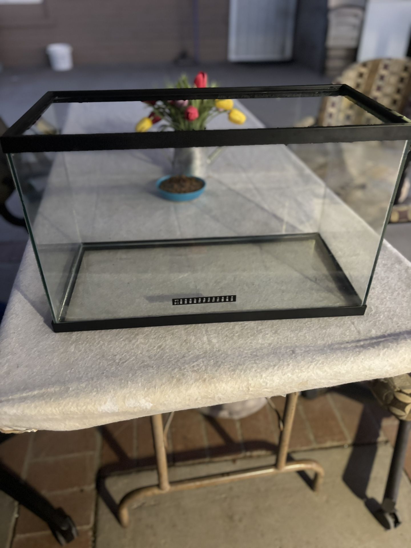 10 Gallon Tank