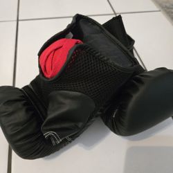 Kick Boxing Gloves 