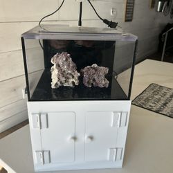 Reef Tank