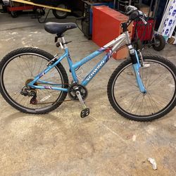 Adult Bike