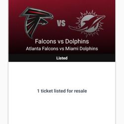 Falcon's Game Vs Panthers 