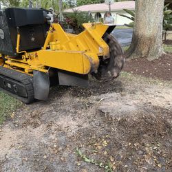 Stumps, Roots, Trees We Do Em All 