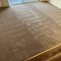 Carpet For Sale