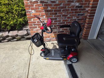 Adult scooter