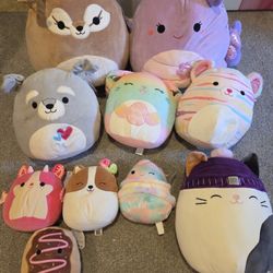 Squishmallow Lot Or Seperate