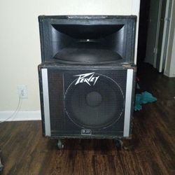 Peavey Speaker