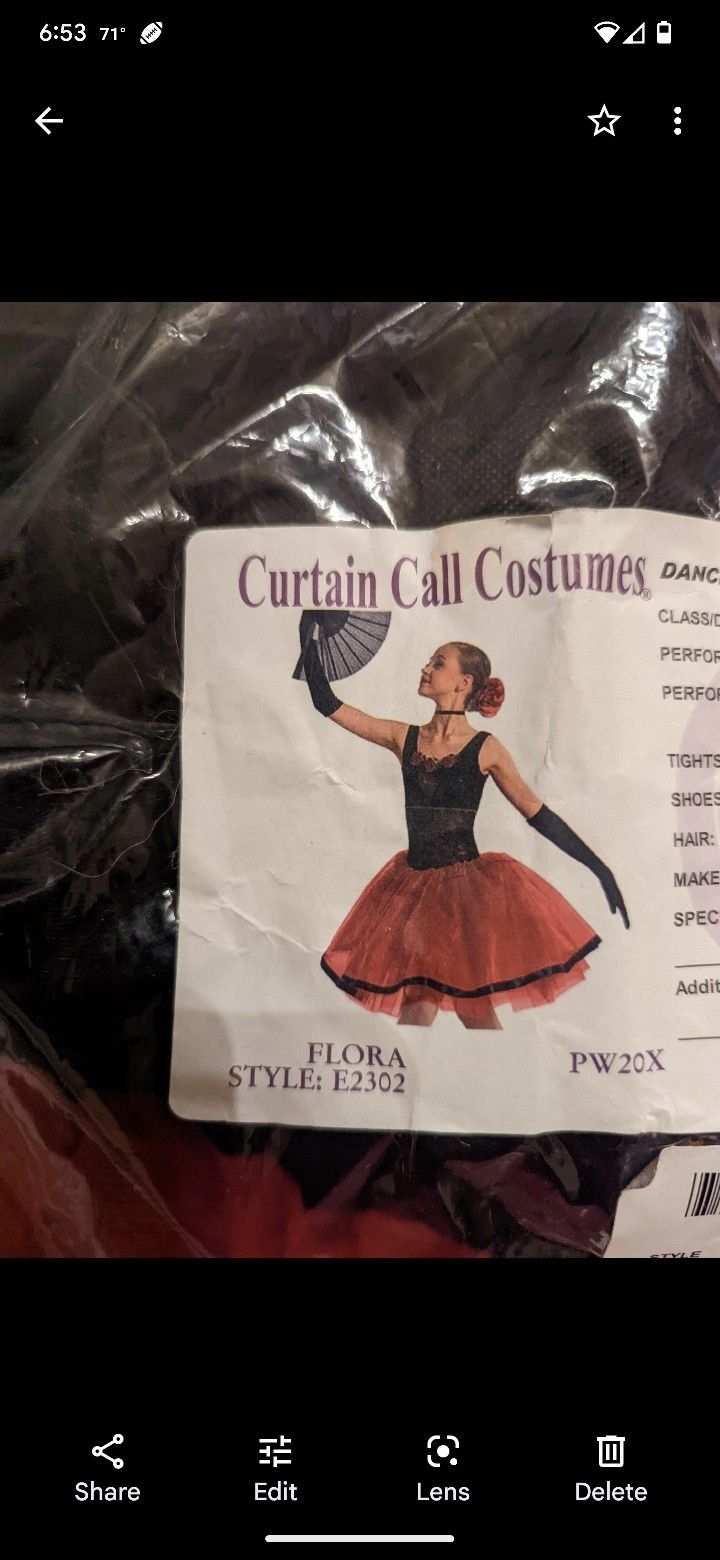Curtain Call Costume 