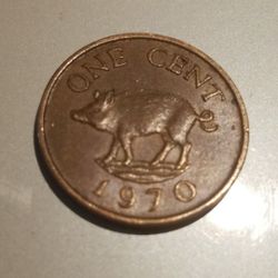 Rare BERMUDA BOAR HEAD CENT !