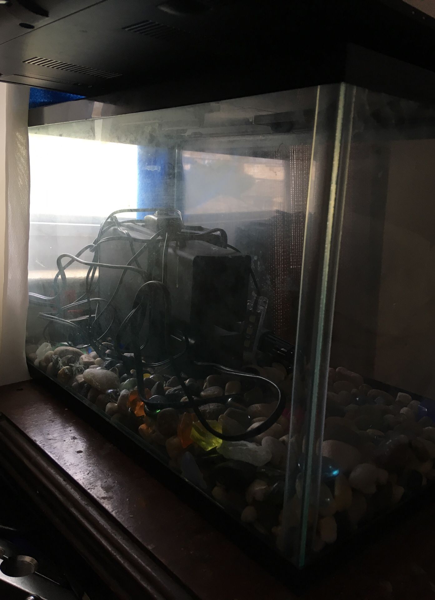 Medium size 15-20 gallon fish tank