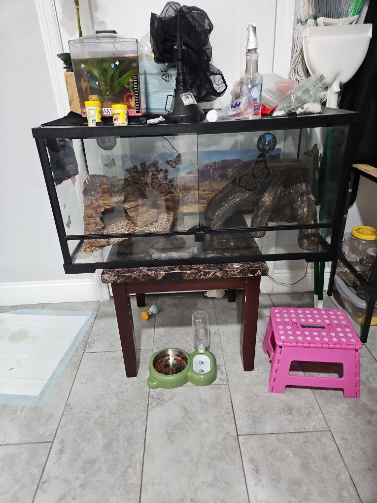 Lizard Enclosure  40/50 Gallon 