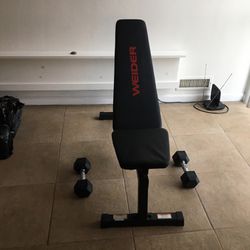 Weight Bench With Two 15 Pound weights