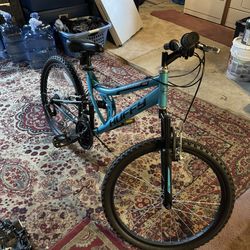 Mountain Bike